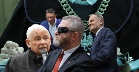 Korona Brauna zbyt opłacalna dla wszystkich, by ją delegalizować [OPINIA]
