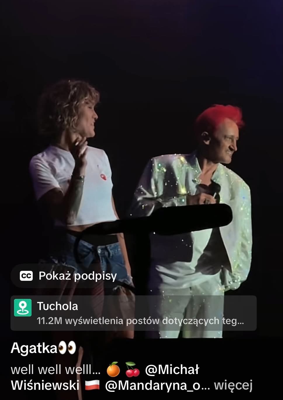Michał Wiśniewski