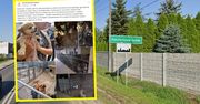 Ratowali 80 psów. Dramat zwierząt z hodowli w Konstantynowie Łódzkim