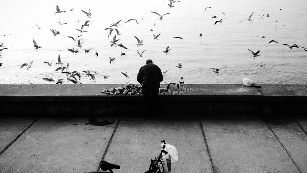 H-artcollective - mobilna fotografia uliczna 1
