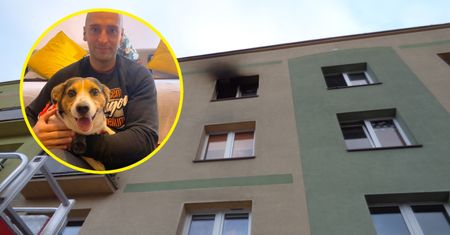 Jego pan zginął w pożarze mieszkania. Dzięki strażakowi Dino ma nowy dom