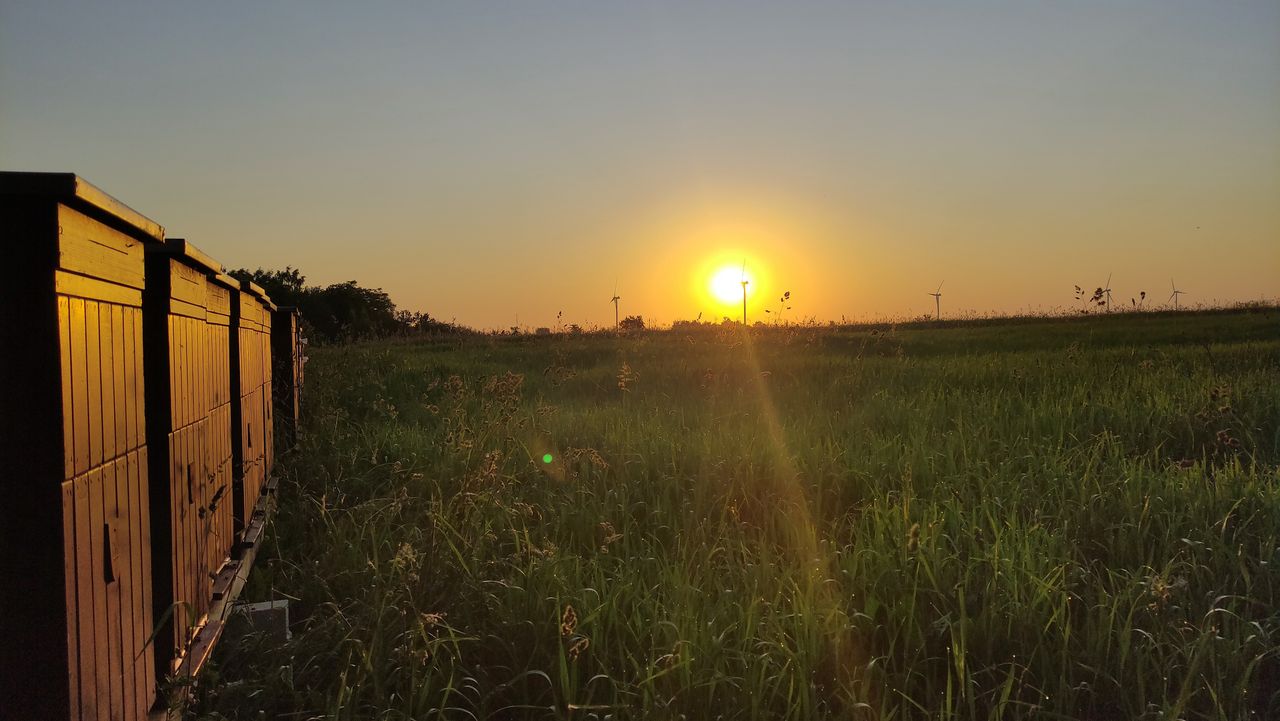 Widok na pasiekę