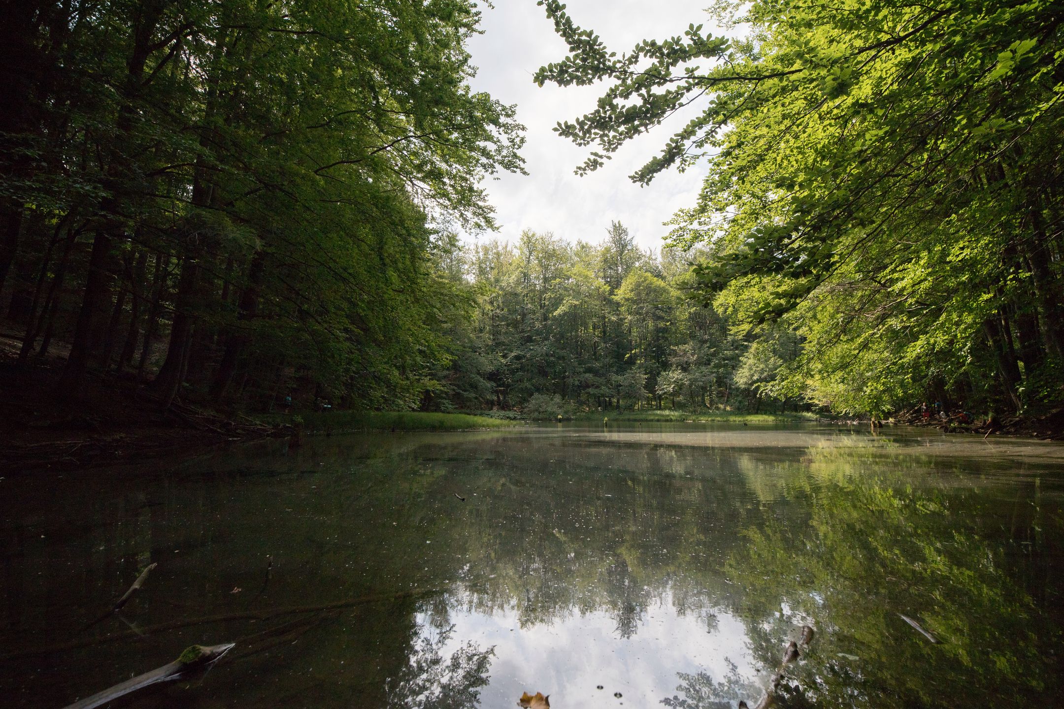 Canon EOS 6D Mark II - test następcy popopularnej pełnoklatkowej lustrzanki 89