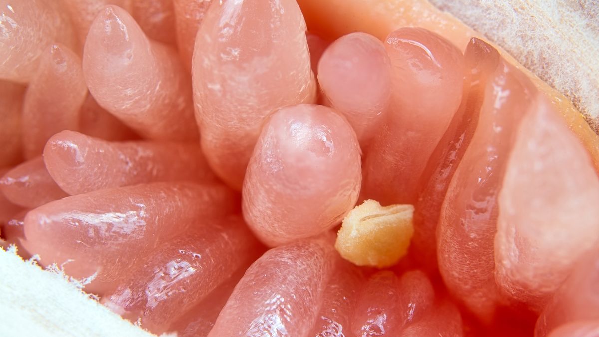 Grejpfrut odgrywa ważną rolę w profilaktyce chorób nowotworowych