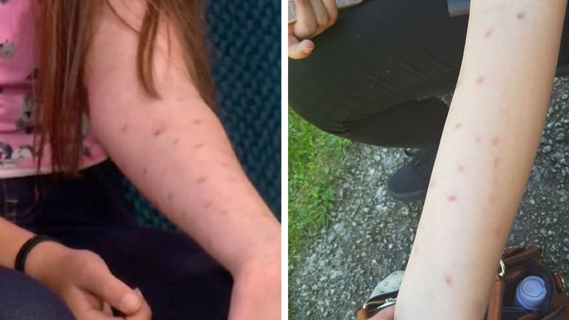 Deodorant challenge - nowy trend wśród nastolatków