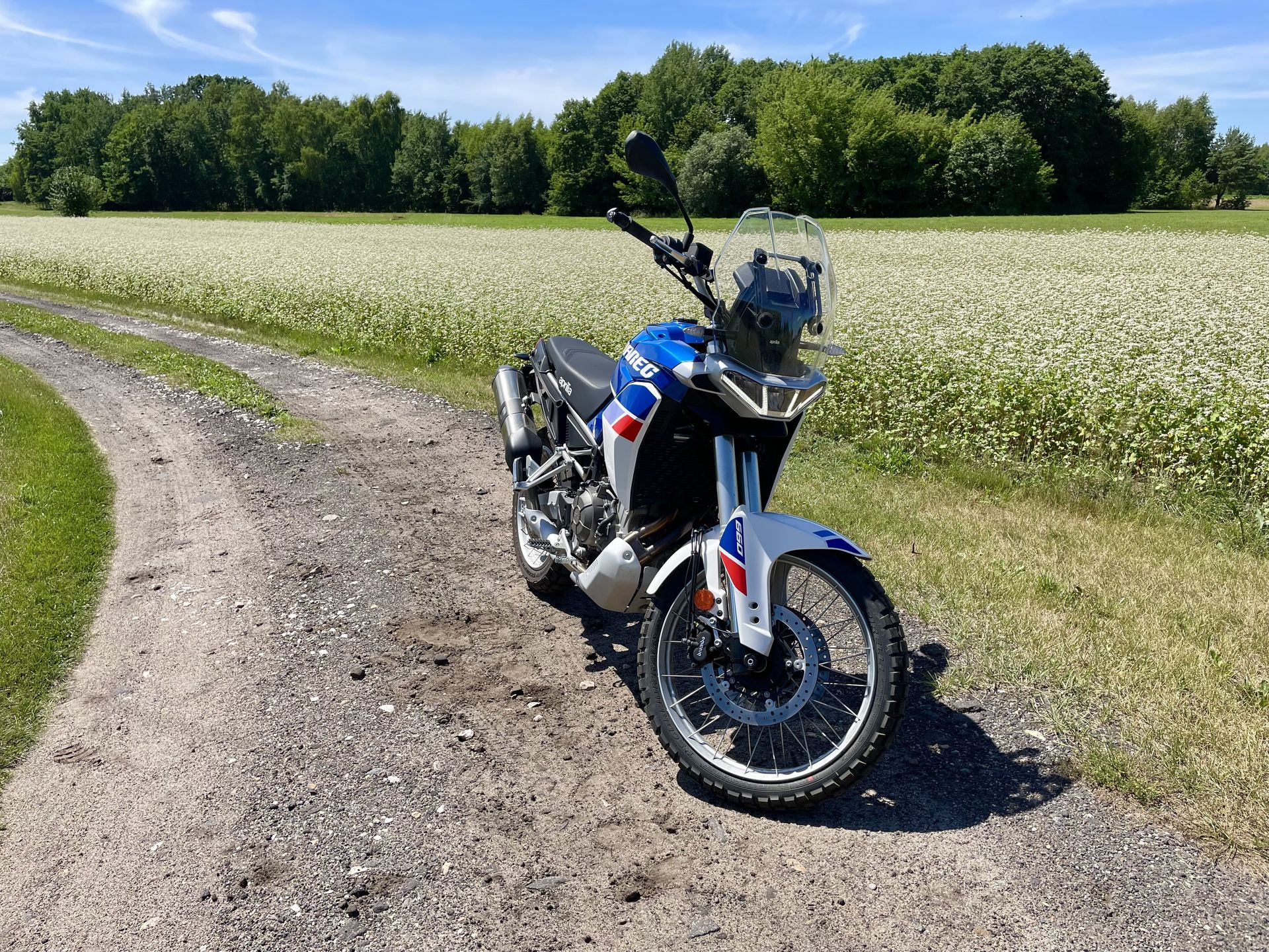 Aprilia Tuareg 660