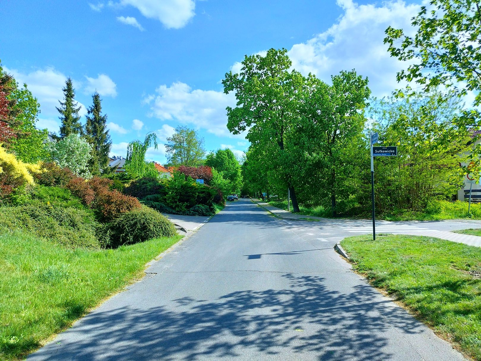 aparat tylny, podstawowy z HDR