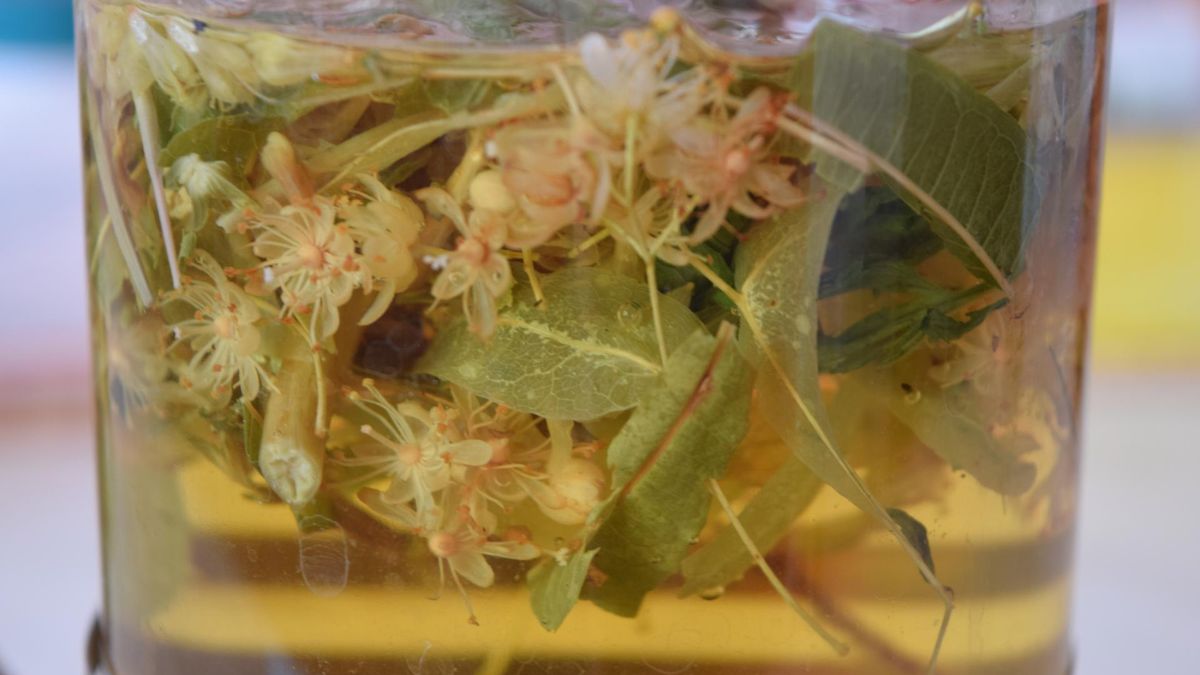 Napar najlepiej pić ciepły, 2-3 razy dziennie