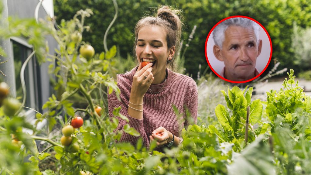 Potas obniża ciśnienie krwi