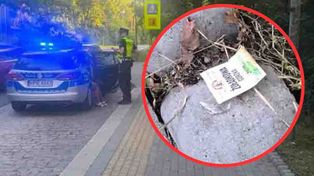 Zielona Góra: Na oczach policjantów z drogówki wyrzuciła wypitą „małpkę” z auta