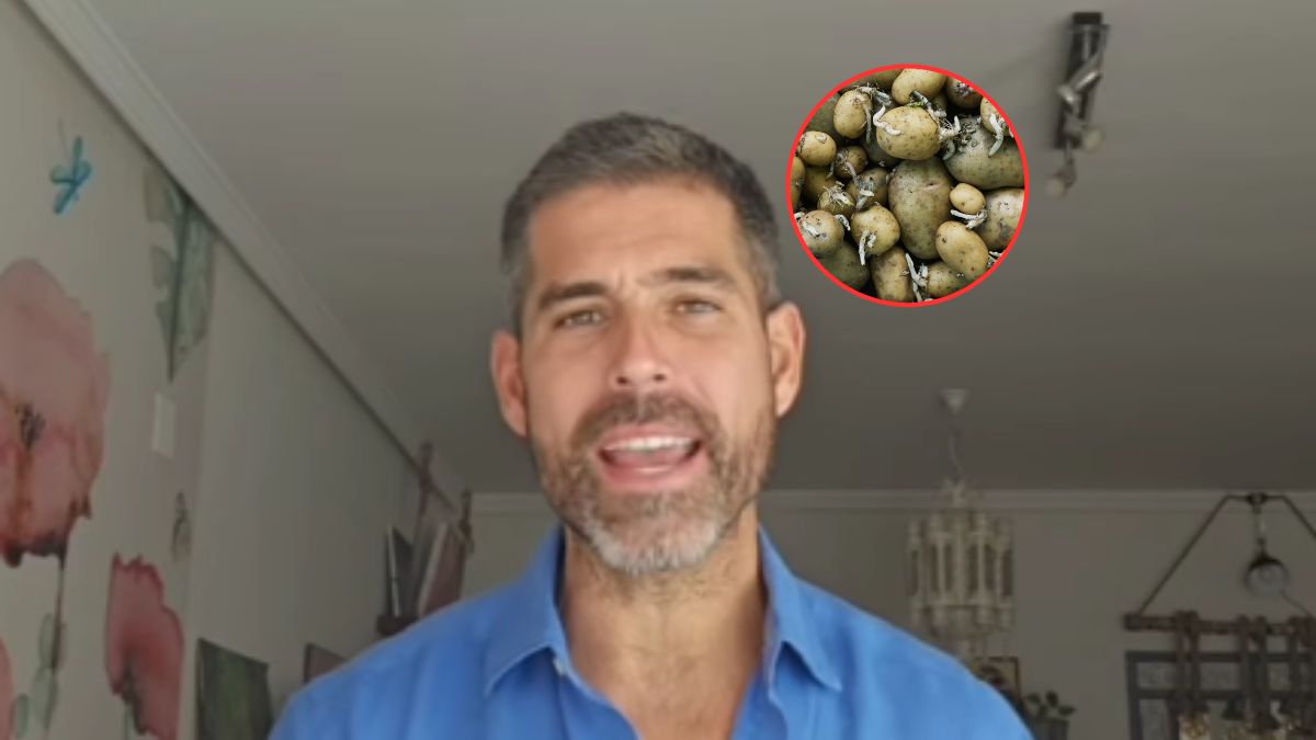 Ekspert ostrzega, że kiełkujące ziemniaki są źródłem trującej solaniny