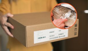 Zaskakująca oferta sprzedaży. "Są umyte i zasypane solą"