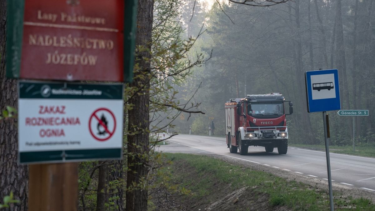 Pożar lasu w pow. biłgorajskim
