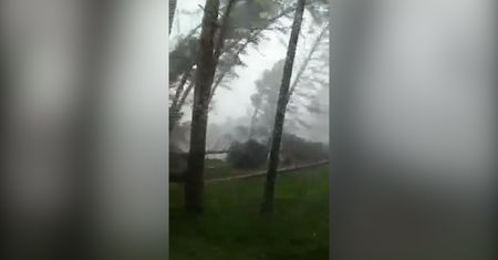 Potężna wichura kładzie drzewa. Szokujące nagranie z Finlandii