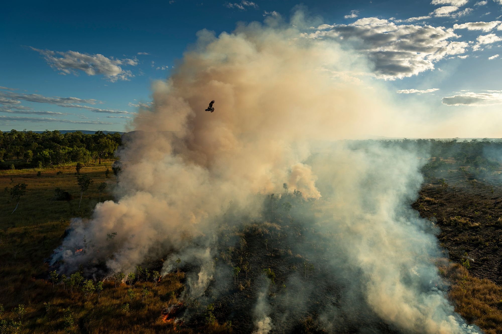 World Press Photo 2022 za nami. Oto najlepsi fotografowie na świecie 4