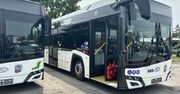 Toruń: Miasto szykuje się do zakupów. MZK ogłosiło dwa przetargi