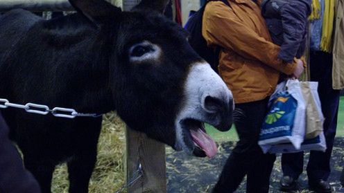 Suma wszystkich żartów- transformersy w Starcrafcie i inne śmiechy 1