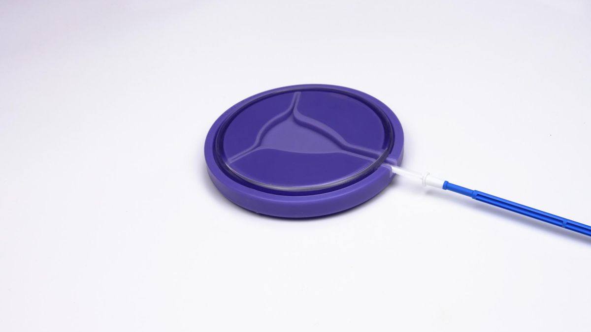 Przygotowanie do cytologii