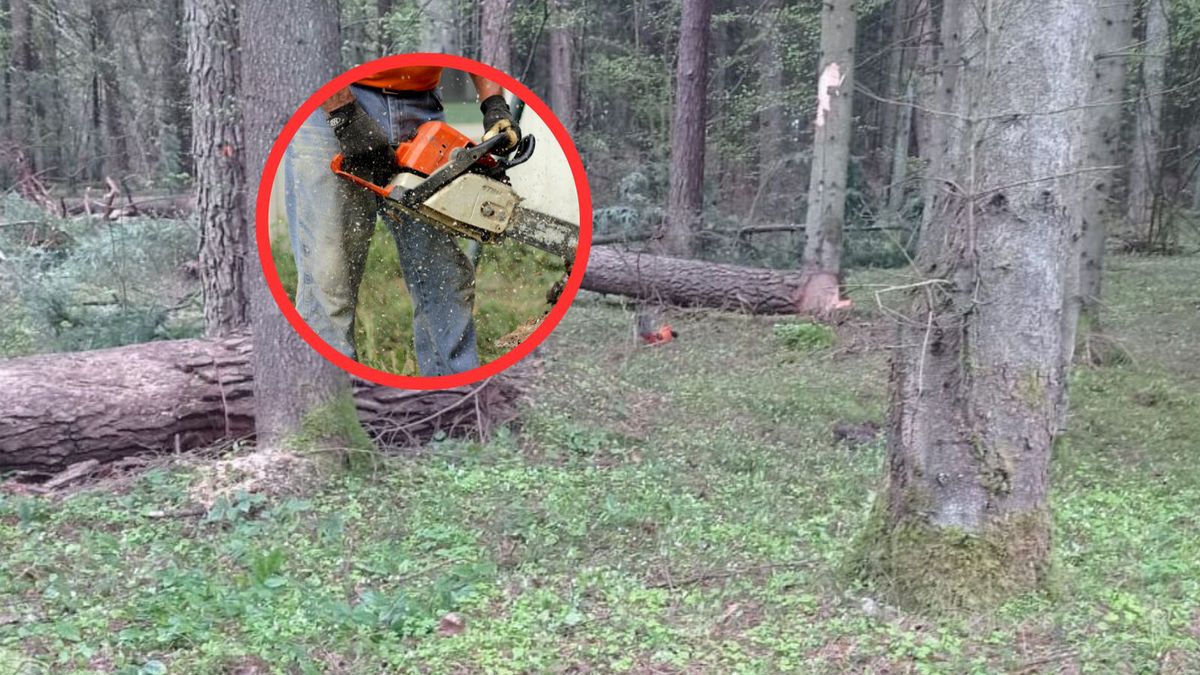 Dwaj bracia zginęli w ten sam sposób