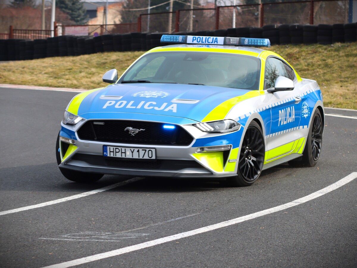 Mustang