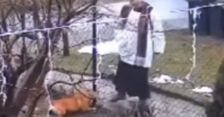 Ksiądz rzucał w psa kamieniami. Jest decyzja prokuratury