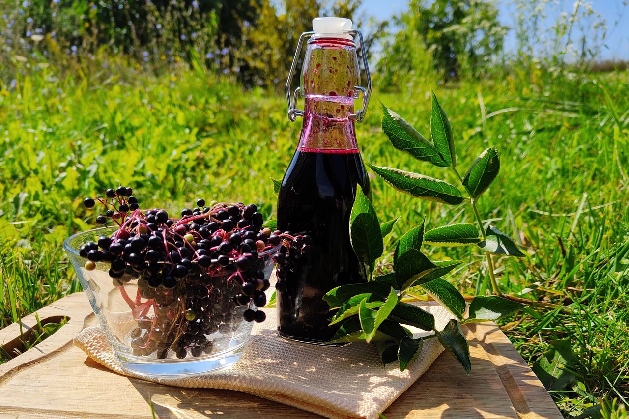 Aromatyczny syrop z czarnego bzu. Jak od babci. Zainspiruj się sposobem blogerki