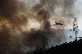 Pożary trawią Portugalię. Sześciu rannych strażaków