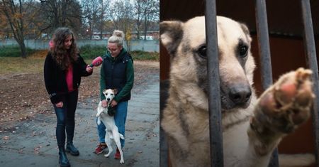 Pudelek odwiedził schroniska na terenach dotkniętych powodzią. Zobaczcie, co udało się zakupić za pieniądze zebrane wspólnie z Wami!