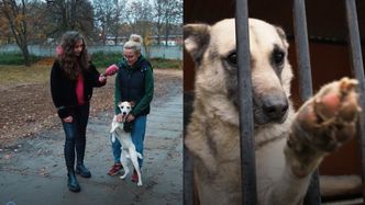 Pudelek odwiedził schroniska na terenach dotkniętych powodzią. Zobaczcie, co udało się zakupić za pieniądze zebrane wspólnie z Wami!