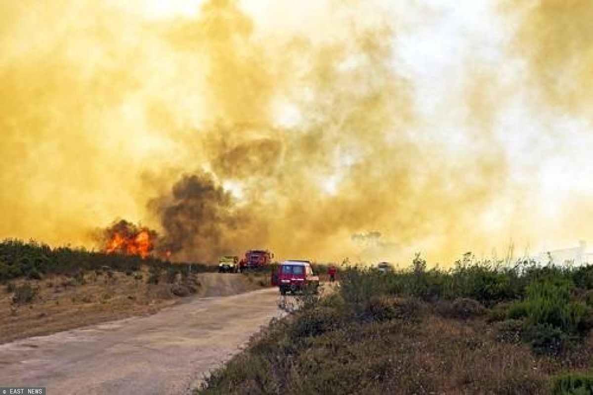 Pożary w Portugalii. Płoną lasy