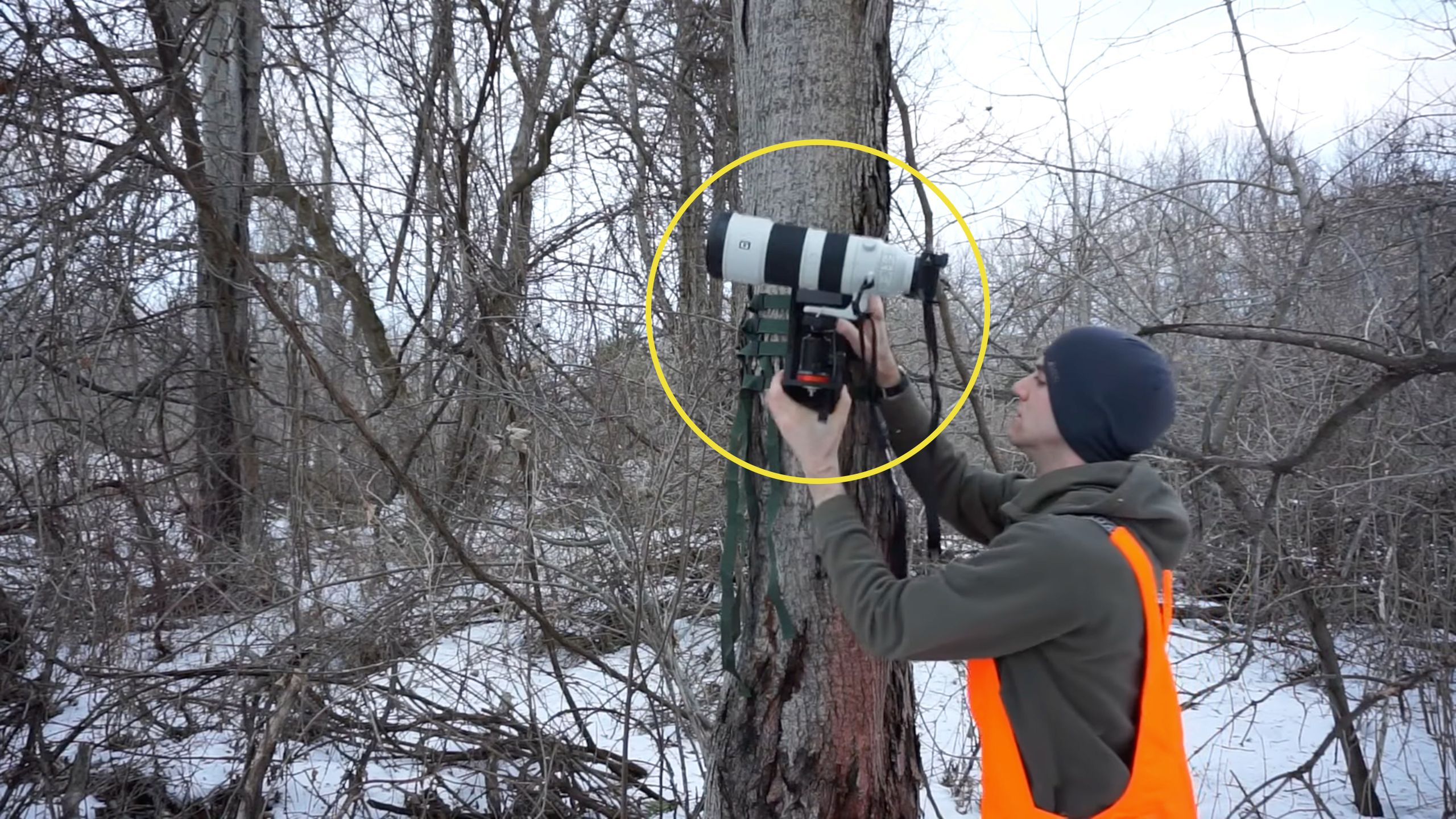 Niesamowita pułapka fotograficzna z obiektywem 200-600 mm. Fotograf się natrudził 1