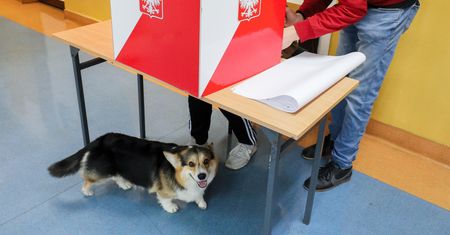 Jest praca przy wyborach. Można zarobić do 1500 zł