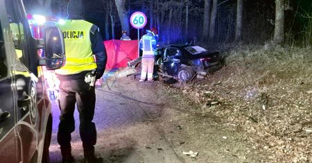 Zmiażdżona alfa po uderzeniu w drzewo. Jechał prostym odcinkiem drogi