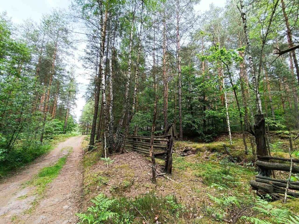 Park Krajobrazowy Lasy nad Górną Liswartą