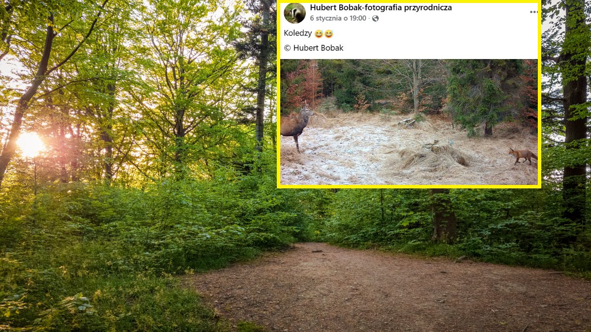 Nagranie podbiło serca internautów