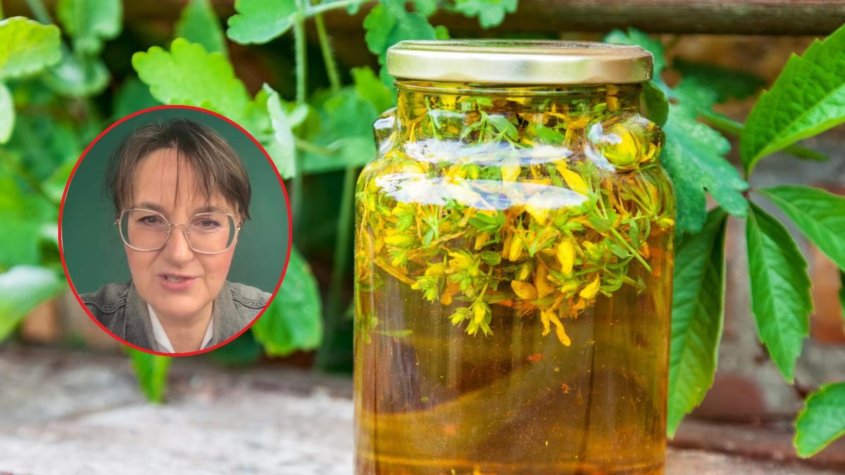 Dziurawiec osłabia działanie wielu leków