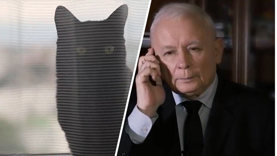 Jarosław Kaczyński i jego kot w najnowszym spocie PiS