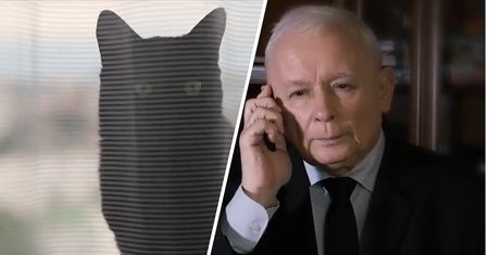 Na reakcje nie trzeba było długo czekać. Nowy spot PiS krąży w sieci
