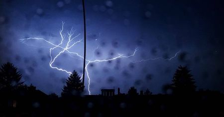 Bilans nocnych burz na Lubelszczyźnie. Strażacy wyjeżdżali 50 razy do powalonych drzew