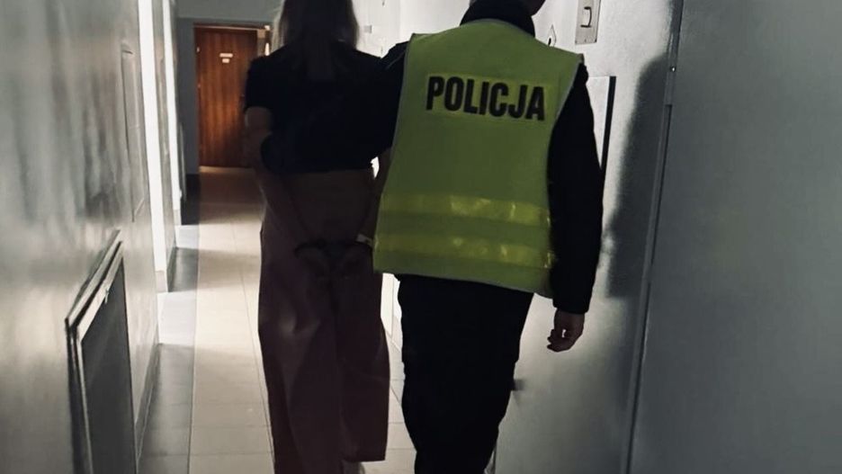Fot. Licencjodawca