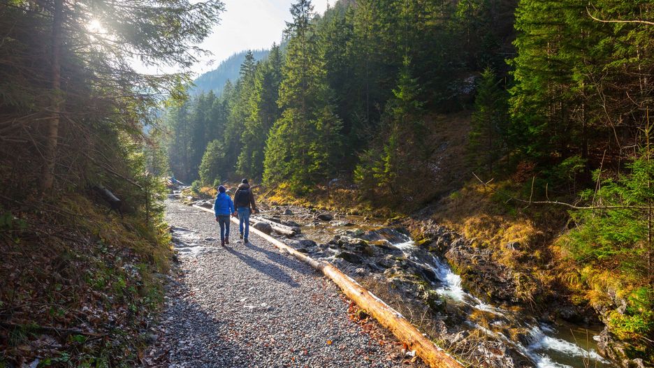 Tatrzański Park Narodowy