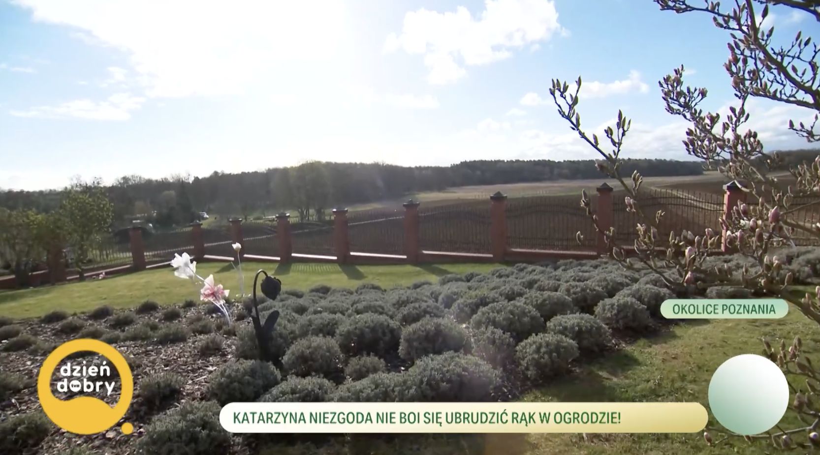 Ogród Katarzyny Niezgody