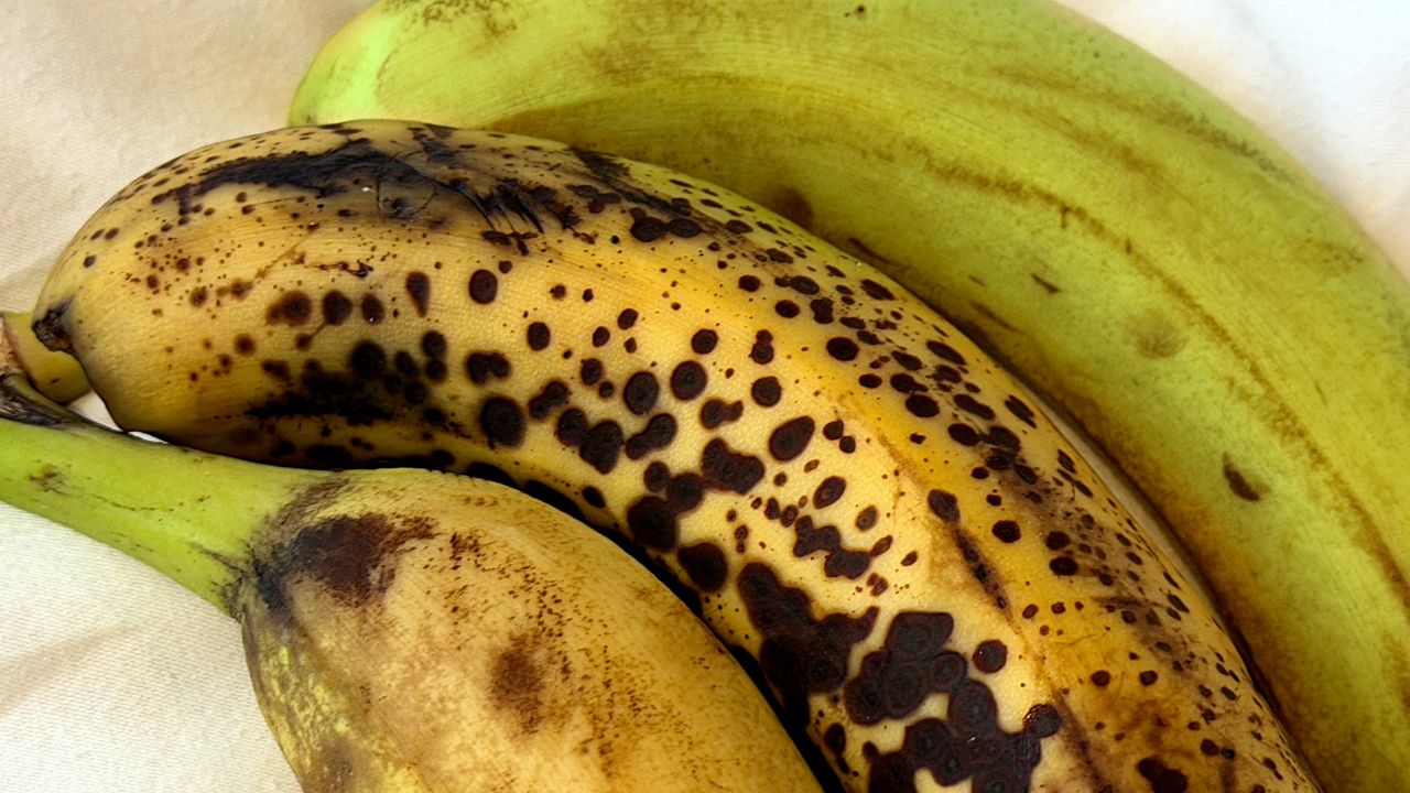 Jaki banan jest najzdrowszy? Ten kolor wspiera jelita