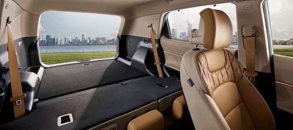 Korean SUV