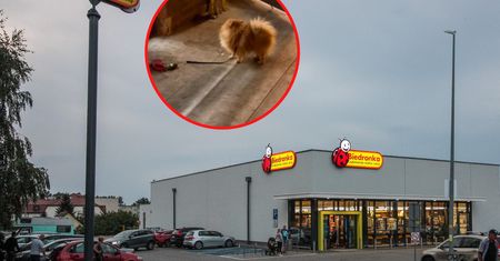 Zobaczyła to pod Biedronką. "8 tysięcy można wziąć z chodnika"