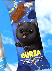Maja Staśko ma problem z lodami Ekipy. Wersow powinna promować wege produkty?