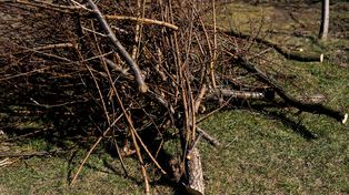 Sypią się wysokie mandaty. Kara może sięgać nawet 5 tys. zł