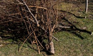 Sypią się wysokie mandaty. Kara może sięgać nawet 5 tys. zł