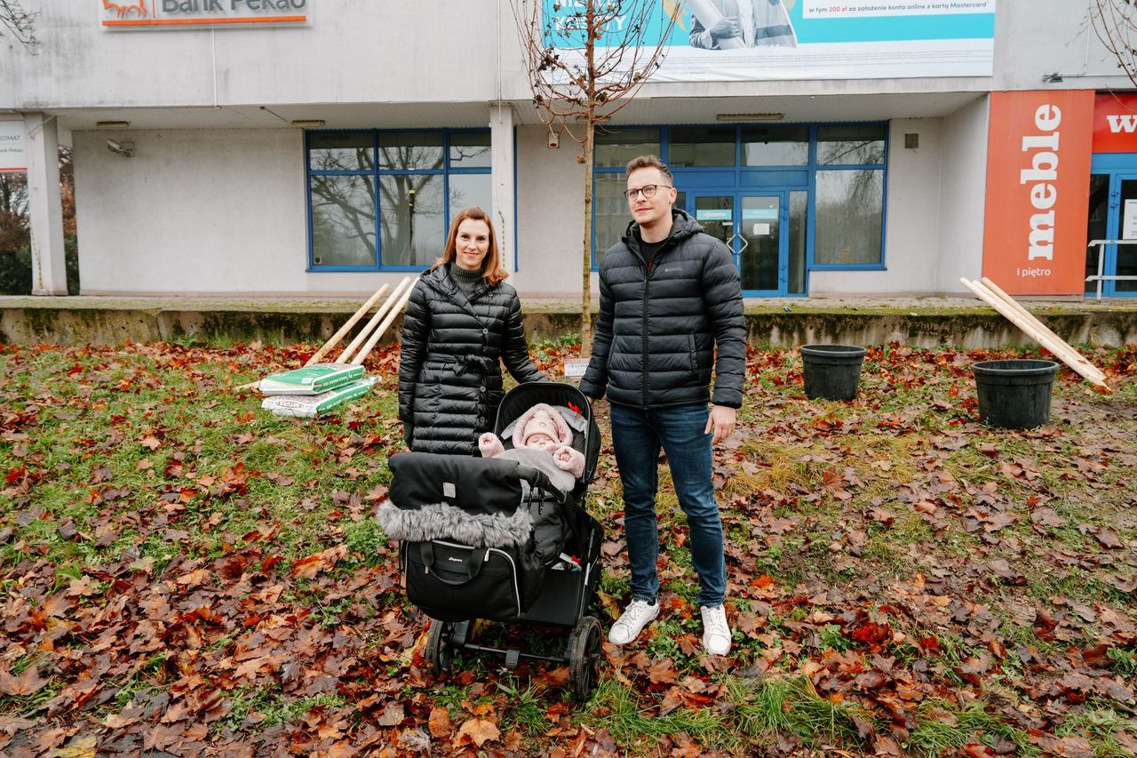 Drzewa Młodych Płocczan 