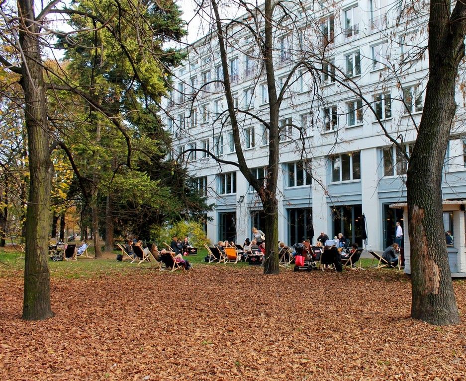 ZOM zasadzi 480 nowych drzew, najwięcej na Pradze Południe